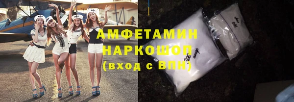 гашик Новозыбков