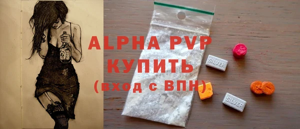 гашик Новозыбков