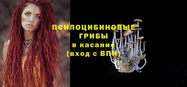 кокс Няндома