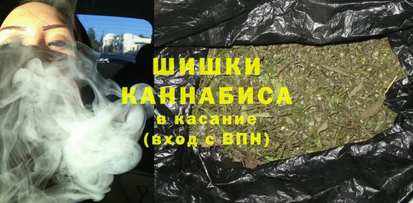 гашик Новозыбков