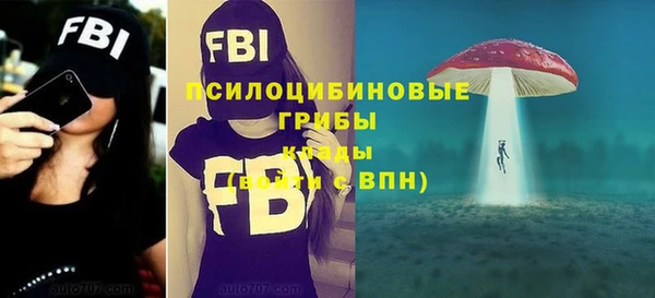 твердый Нязепетровск