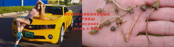 прущая мука Гусиноозёрск