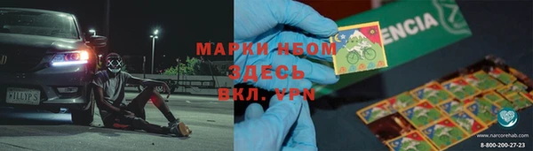 гашик Новозыбков