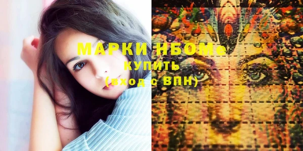 гашик Новозыбков