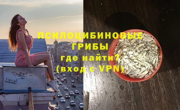 гашик Новозыбков
