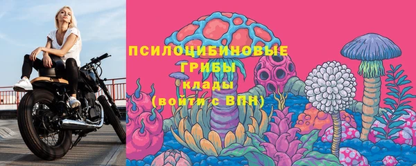 кокс Няндома