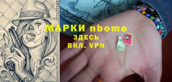 гашик Новозыбков