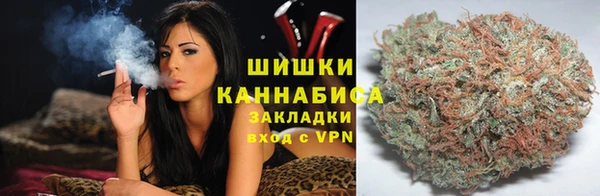 бошки Новодвинск