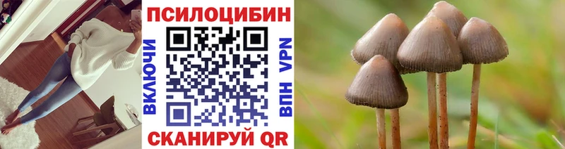 цены наркотик  hydra ССЫЛКА  Псилоцибиновые грибы мухоморы  Нолинск 