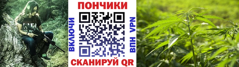 Конопля планчик  продажа наркотиков  Нолинск 